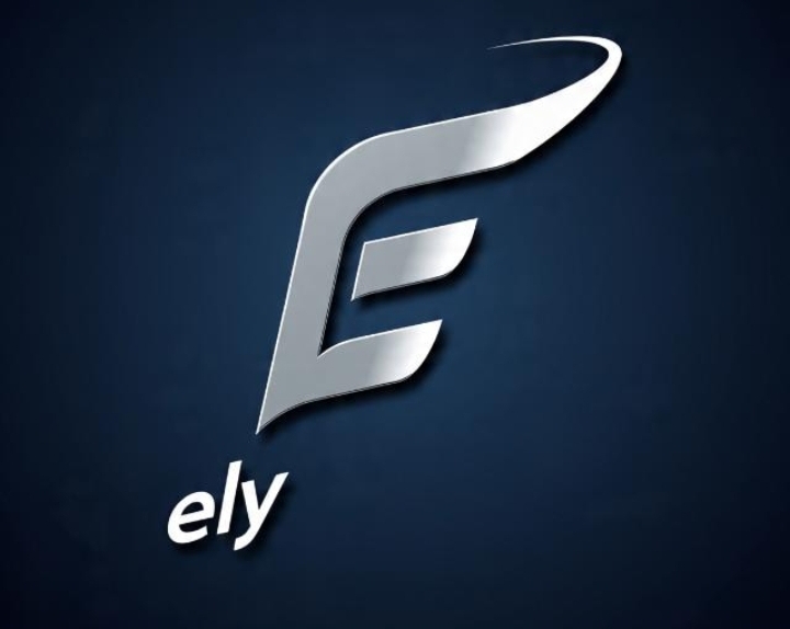 ElITE HIGH SCHOOL BWEYALE logo